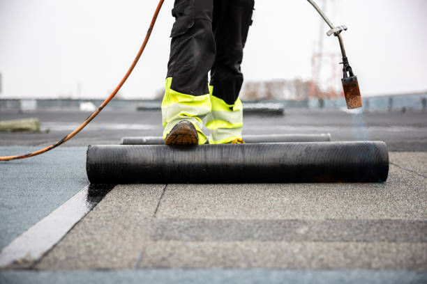 Best Roof Maintenance and Cleaning  in Ocean City, NJ